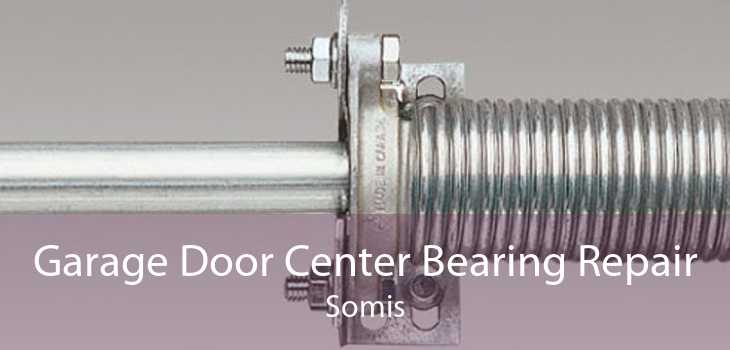 Garage Door Center Bearing Repair Somis