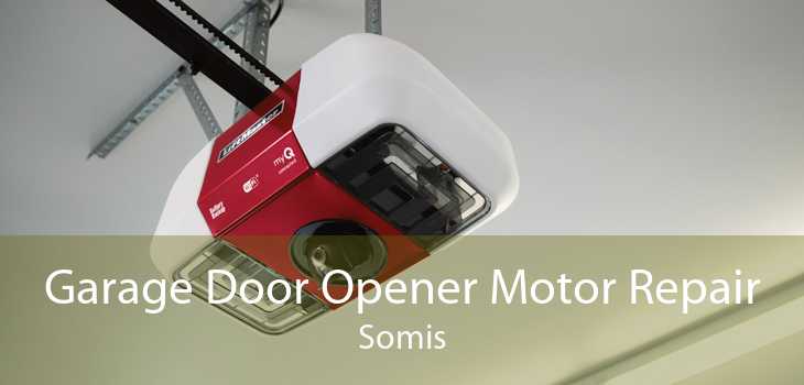 Garage Door Opener Motor Repair Somis