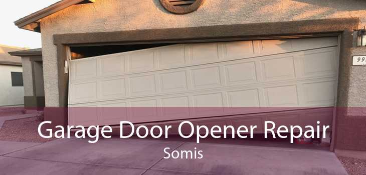 Garage Door Opener Repair Somis