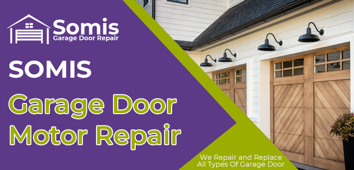 garage door motor repair in Somis